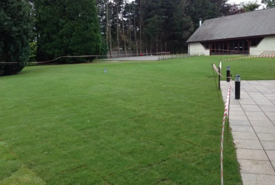 lawns & artificial grass Haslemere — project 5