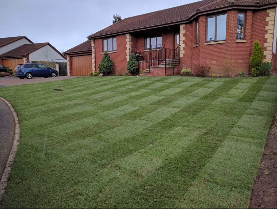Recent lawns & artificial grass project in Haslemere, Surrey